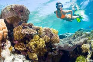 Snorkel along Anjajavy Reserve's coral outcrops