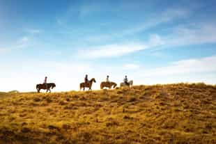 Ride on horse back through the Agafay Desert
