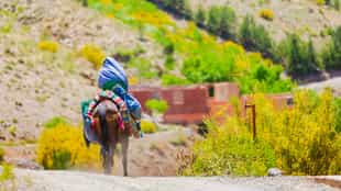 See the villages & trails of Toubkal National Park