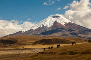 Hike on an active volcano with glacial views