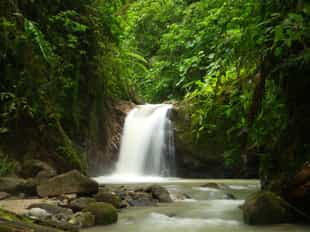 Explore the diversity of Podocarpus National Park