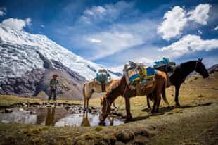 Explore Mendoza on horseback