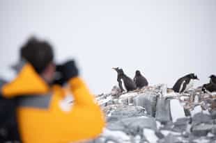 Enjoy photographic opportunities in Antarctica