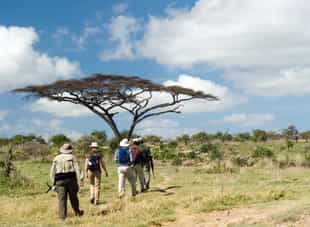 Experience Lake Eyasi on a walking safari