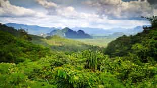 Explore Khao Sok National Park by bicycle 
