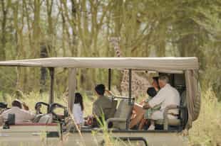 Head out on a game drive at Chem Chem 