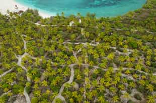 Explore Mafia island on foot along nature trails