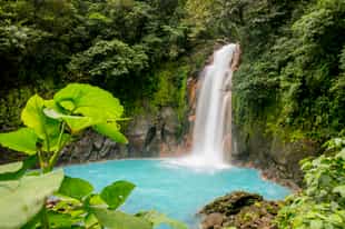 Hike to Rio Celeste in Tenorio Volcano Park