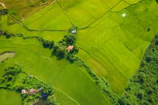 Cycle through the countryside of Vang Vieng