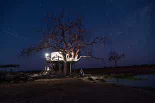 Sleep under the stars at Somalisa's sleepout