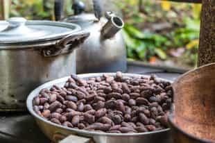 Learn about Costa Rica's most famous products 