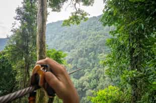 Go ziplining across the jungle of Manuel Antonio