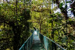 Cross hanging bridges in Rincón de la Vieja