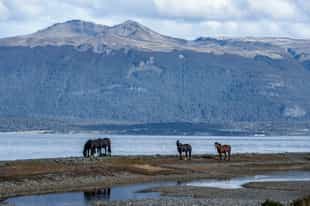 Visit the southernmost fishing port in Argentina