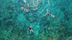 Go snorkeling off Menjangan Island