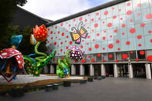 Explore Matsumoto city's vibrant art scene