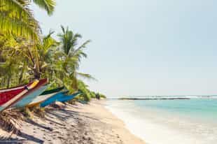 Relax on the tranquil Mirissa Beach