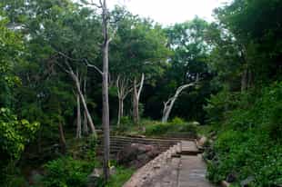 Visit Ritigala Monastery with a hermit monk