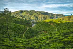 Trek a stage of the 300km Pekoe Trail in Ella