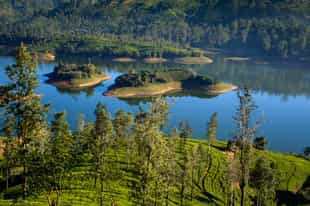 Go kayaking on the picturesque Castlereagh Lake 