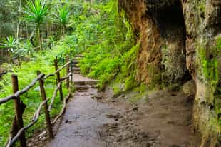 Go hiking in Karura Forest, Nairobi