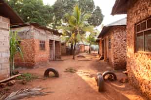 Visit a local village in Arusha