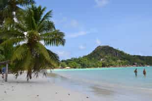 Praslin tour with Vallee De Mai & Anse Lazio 