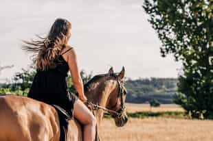 Explore the Elqui Valley on horseback