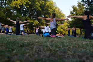 Strength and mobility movements