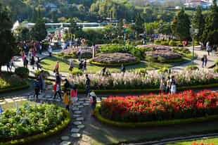 Take a walking tour through Dalat Flower Park