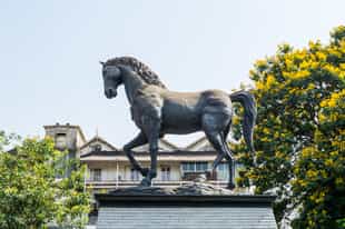 Explore the art district of Mumbai, Kala Ghoda