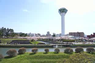 Go on an Afternoon tour of Onuma