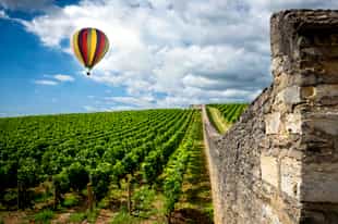Enjoy the coffee landscape on a hot air balloon