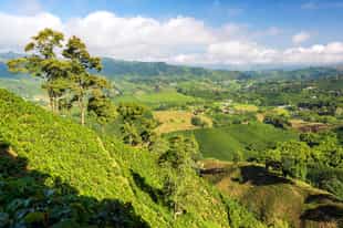Explore an authentic coffee village of the region