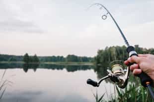 Cast a line out fishing on the Cravo Sur River