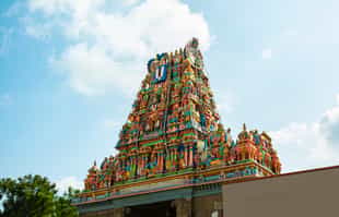 Explore the Parthasarathy Temple for Vishnu