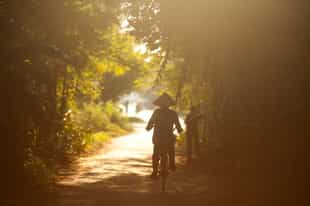 Explore Hoi An Countryside by Bike from Da Nang