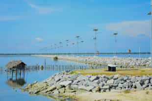 Explore the city highlights of Mannar