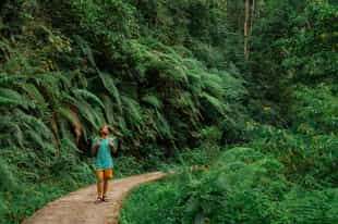 See the flora and fauna on a guided walk in Lombok