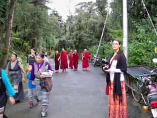 Join the sacred Kora walk in Dharamshala