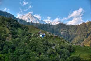 Trek through the Himalayas on a full-day hike to Triund