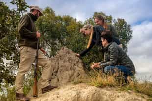 Discover the Sabi Sands on a guided walk