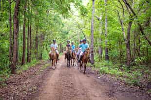 Horse riding at Morgan's Rock