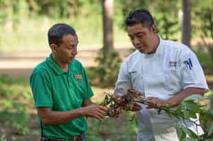 Experience the organic farm at Morgan's rock