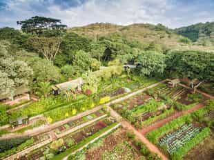 Enjoy a culinary experience at Gibb's farm