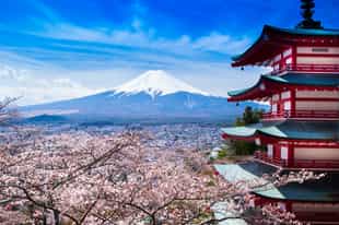 Full Day Kawaguchiko & Mt Fuji 5th Station Excursion