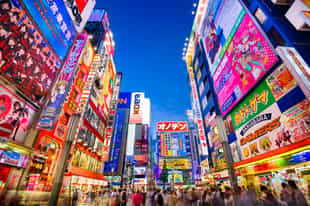 Experience Akihabara Electric Town in Tokyo