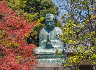 Visit the Tennōji Temple in Tokyo
