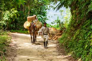 Visit a local community in Tayrona on a day trip