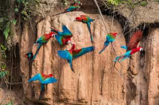 Explore the bird life around Lake Condenado